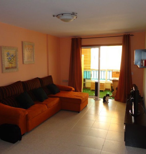 Apartment in Arona